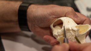 An attendee places a zygomatic implant in a dry hands-on model.